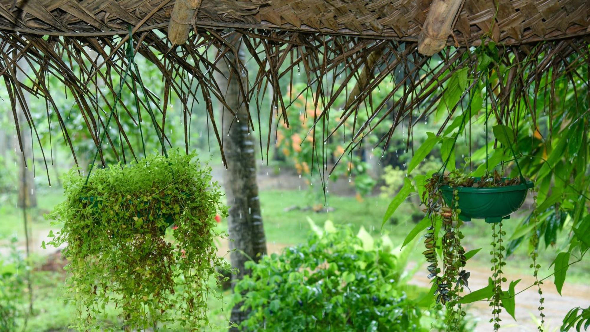 Prem Nadee Homestay ดัมบูลลา ภายนอก รูปภาพ